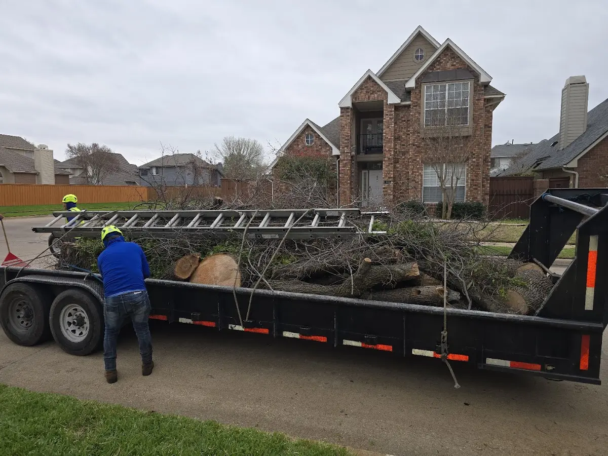 Expert Tree Pest Control with proper safety equipment in Colonial Heights